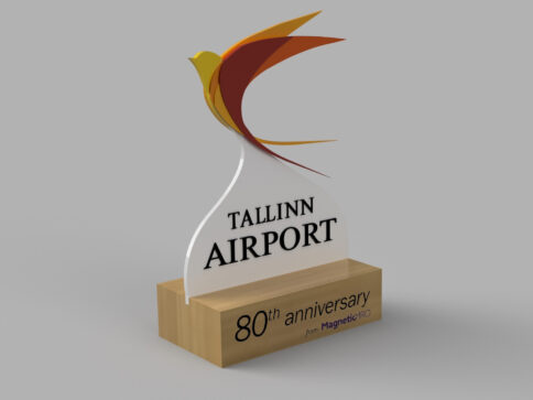 Tallinna Lennujaam karikas